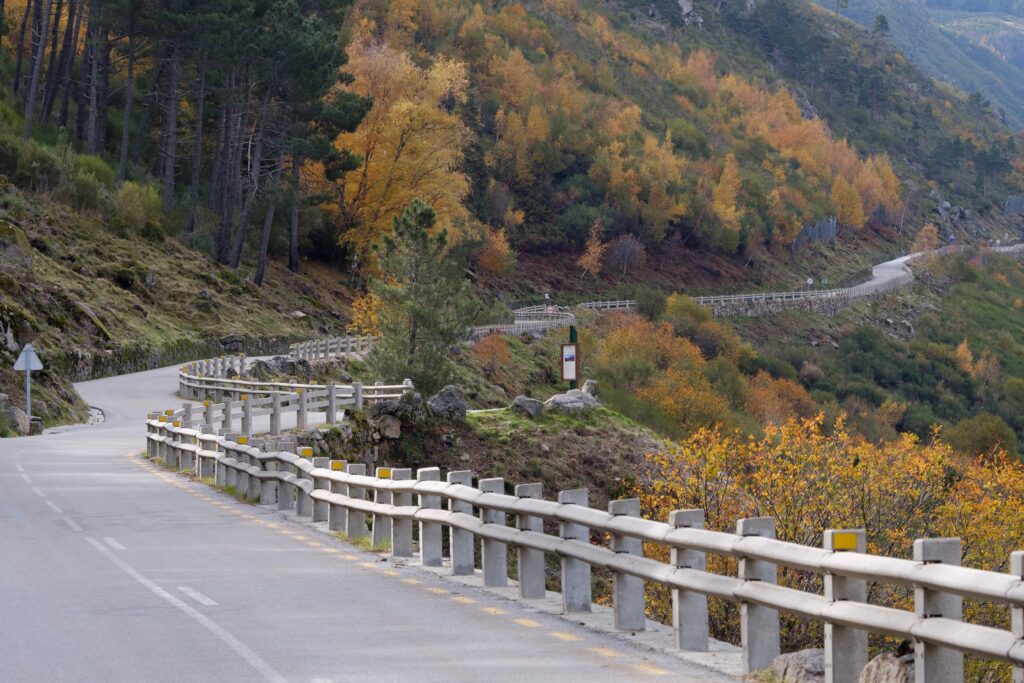 Guard rails on mountain road